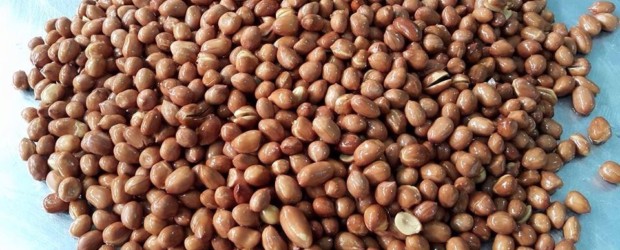 Tips: Menggoreng Kacang